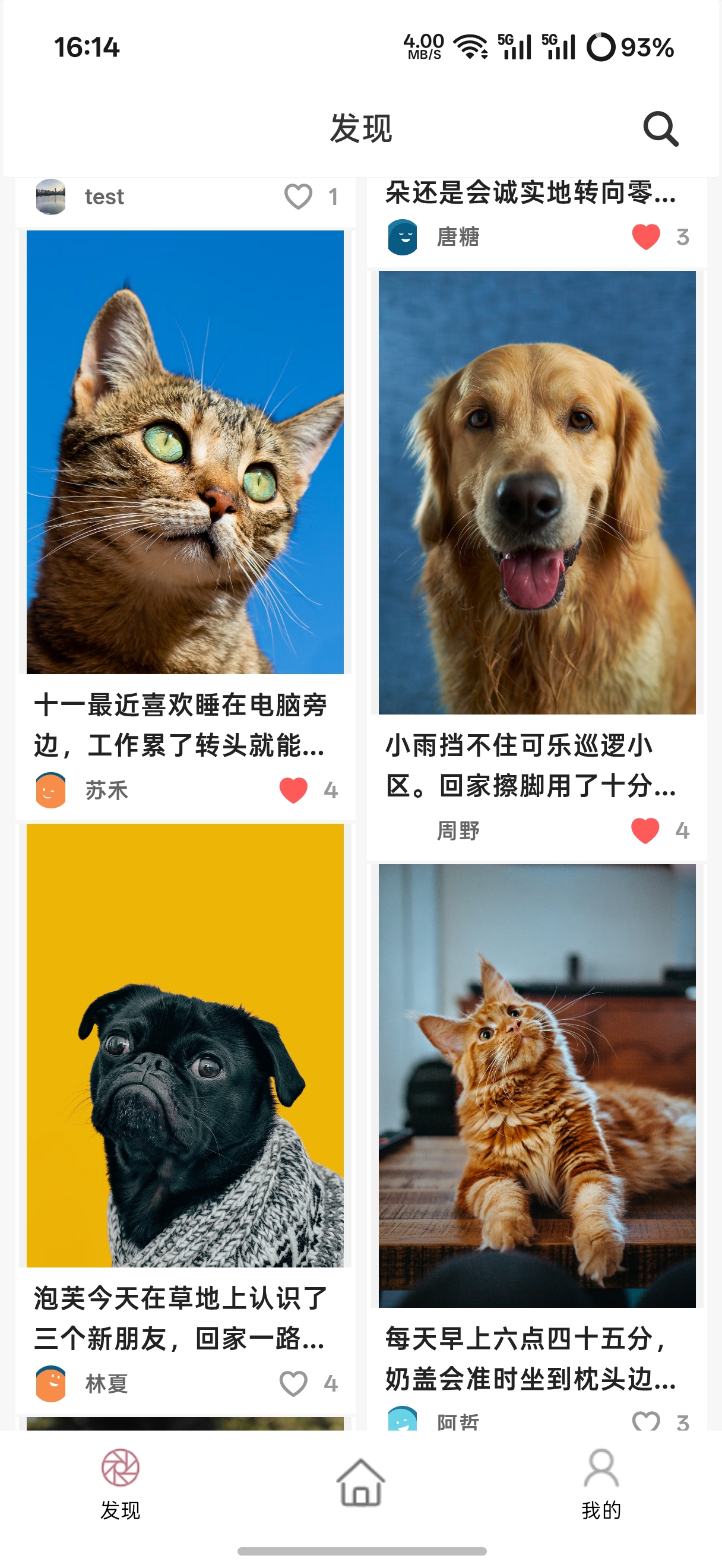 元宠 App 首页展示