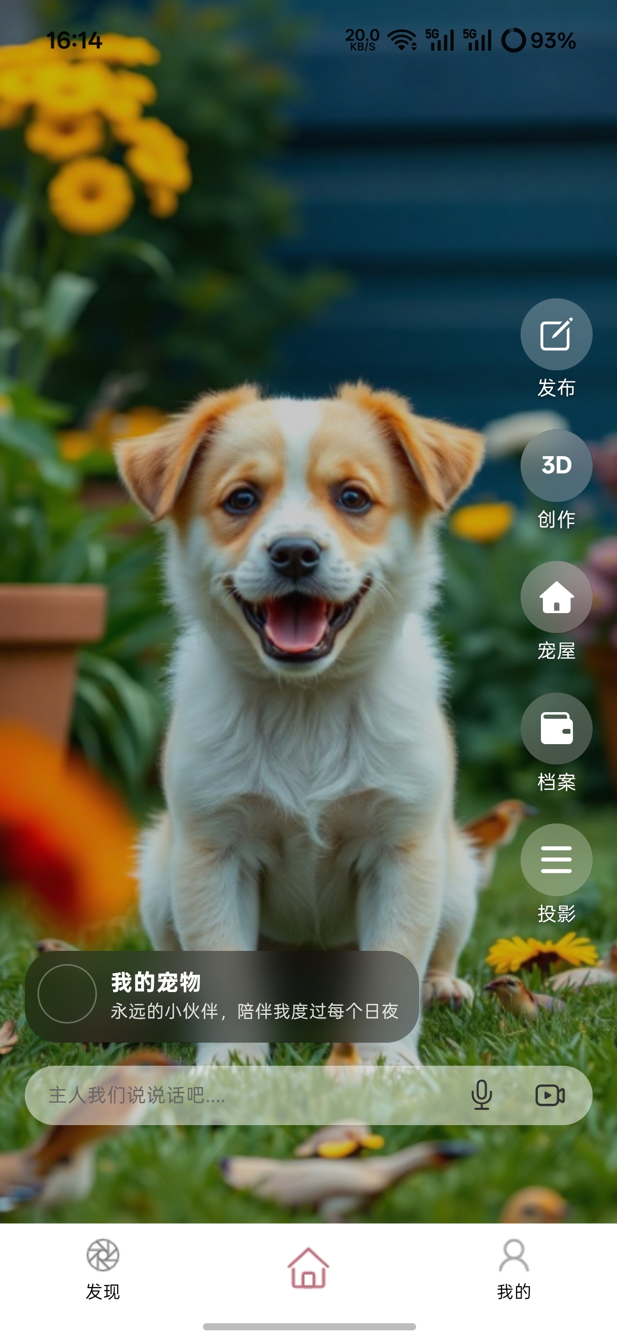 元宠 App 宠物主页展示